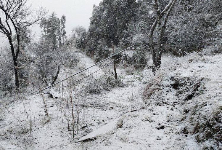 प्रदेशभर में 15 पोलिंग पार्टियां बर्फबारी के चलते गंतव्य तक पहुंचने के लिए खासी मशक्कत करनी पड़ी