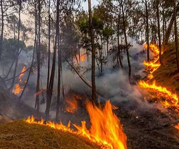 चढ़ते पारे ने बढाई  वन विभाग के लिए वनाग्नि पर नियंत्रण की चुनौतियां