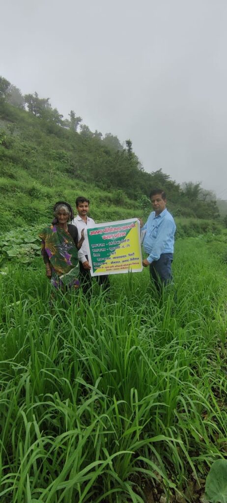 सफलता की कहानी: भीमताल के पिनरों गांव में कृषि विभाग ने खेतों की बेहतर सिंचाई के लिए की नई व्यवस्था, अन्य विकास कार्य भी उत्तरे धरातल पर