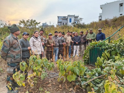 शिवगंगा एन्क्लेव में दिन दहाड़े बाघ की चहलकदमी, वन विभाग ने लगाया पिंजरा