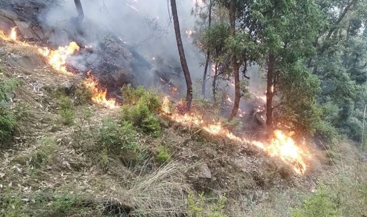 ब्रेकिंग: केंद्र से उत्तराखंड को मिली राहत, वन अग्नि प्रबंधन के लिए सौ करोड़ रूपये मंजूर