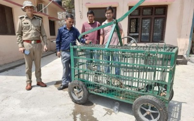 तारबाड़ में उलझे गुलदार का वन विभाग की टीम ने किया रेस्क्यू