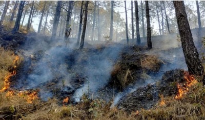 जंगल में आग लगाने के आरोप में वन विभाग ने तीन के खिलाफ किया मुकदमा