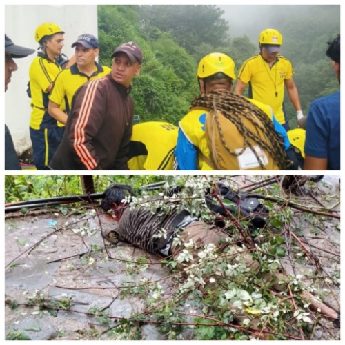 दुखद खबर: केदारनाथ यात्रा मार्ग पर भूस्खलन होने से तीन लोगों की मौत