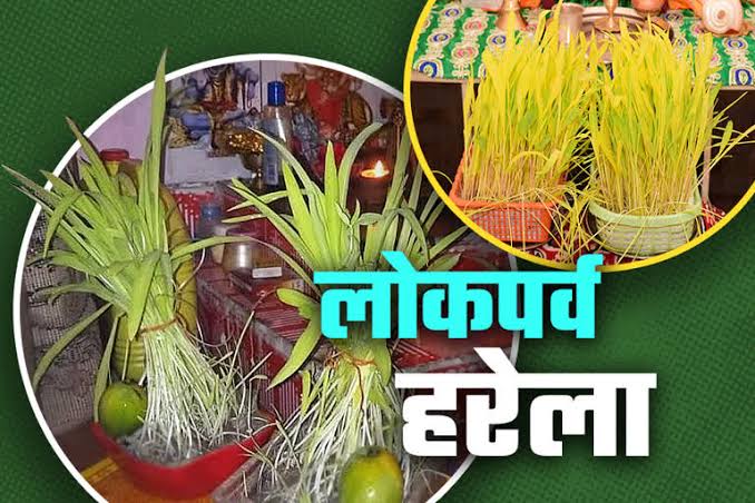 देहरादून जनपद में वृहद्धस्तर पर मनाया जाएगा हरेला पर्व, डीएम ने पौधारोपण एवं वृक्षों के संरक्षण के सम्बन्ध में की बैठक