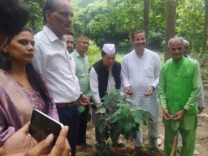 आंदोलनकारी जेपी पांडे की याद में धीरेंद्र प्रताप ने किया वृक्षारोपण