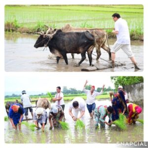 सीएम धामी ने खटीमा में की धान रोपाई, किसानों के श्रम को किया नमन