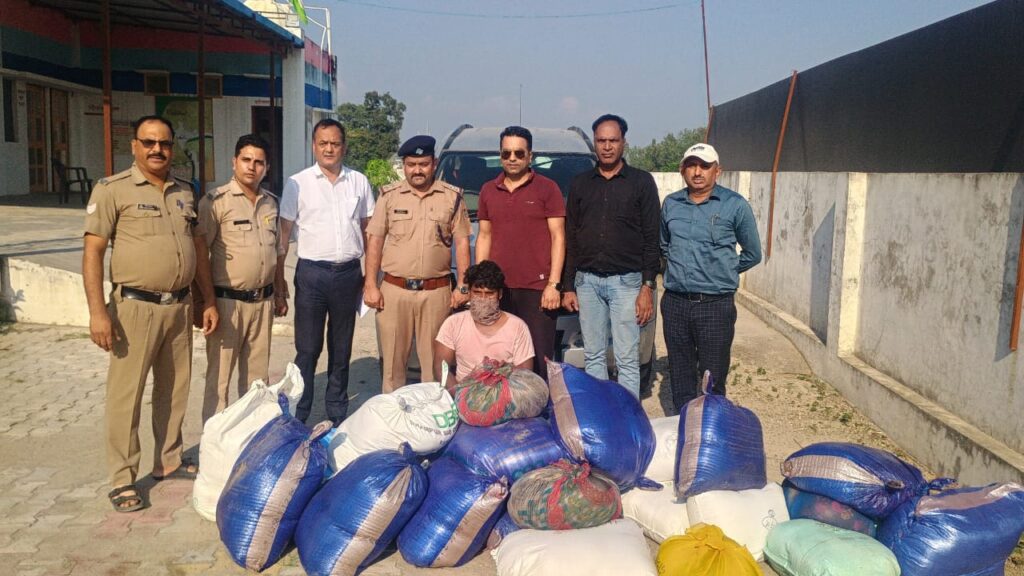 मिलावट पर जीरो टॉलरेंस: प्रदेशभर में मिलावटी खाद्य पदार्थों के खिलाफ अभियान जारी