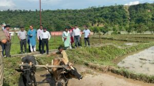 देहरादून: जिला प्रशासन ने विलुप्त दून बासमती को दिलाई नई पहचान