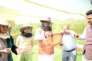 मुख्यमंत्री आवास परिसर में पहले चरण में 60 किलोग्राम निकाला शहद 