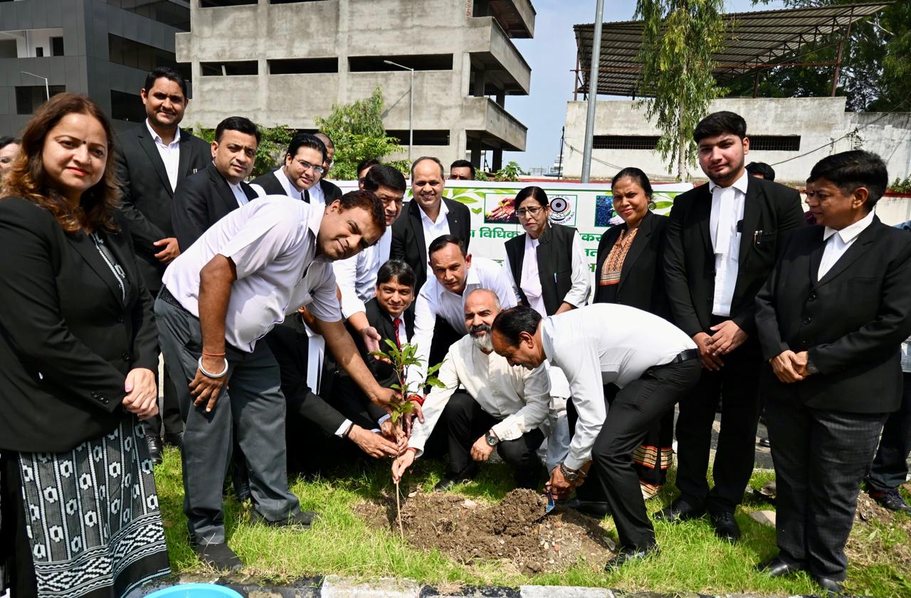 देहरादून जिला न्यायालय परिसर में ‘हरेला’ पर भव्य वृक्षारोपण
