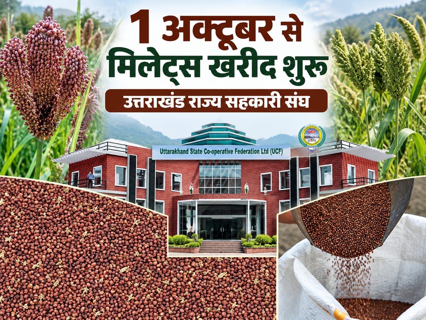 उत्तराखंड: प्रदेशभर में एक अक्टूबर से शुरू होगी मिलेट्स की खरीद